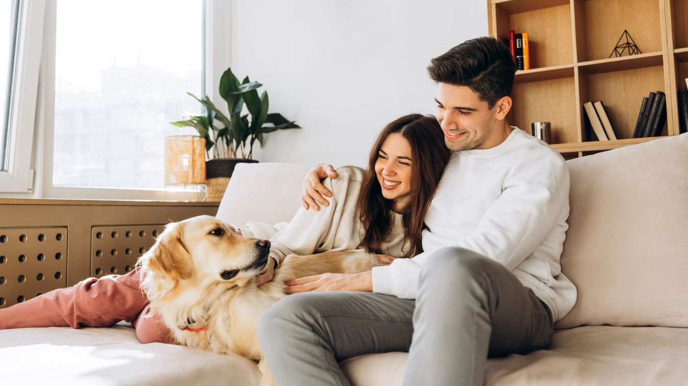 Programok összegyűjtve, itt megleled amit keresel