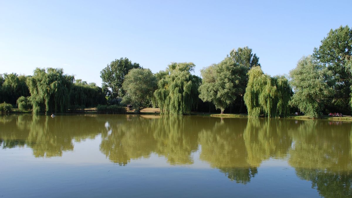 Kinyíltak a zsilipek: különleges beavatkozás zajlik a Tiszánál