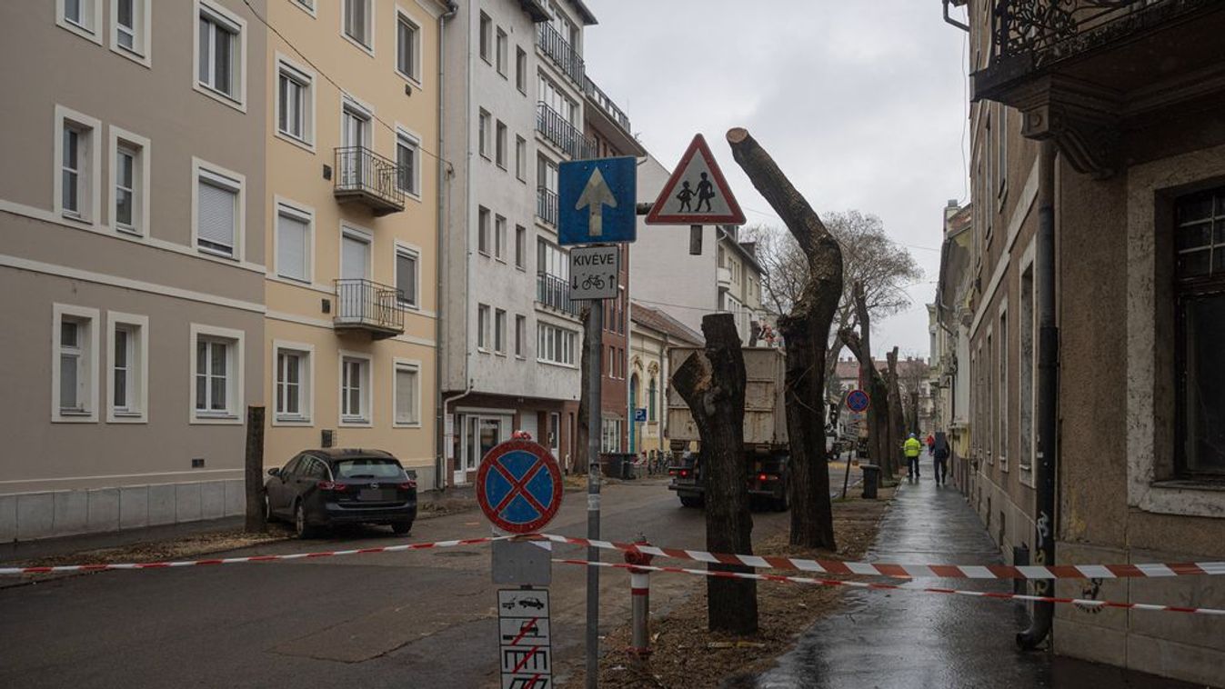Erős reakciókat váltottak ki a Szegeden zúgó láncfűrészek Kép