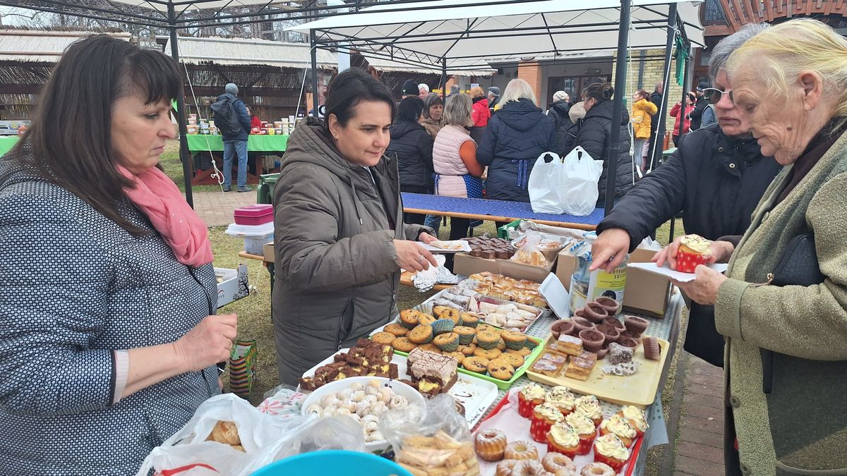 Minden sütivel egy lépéssel közelebb a gyógyuláshoz, percek alatt százezrek gyűltek össze Lizának