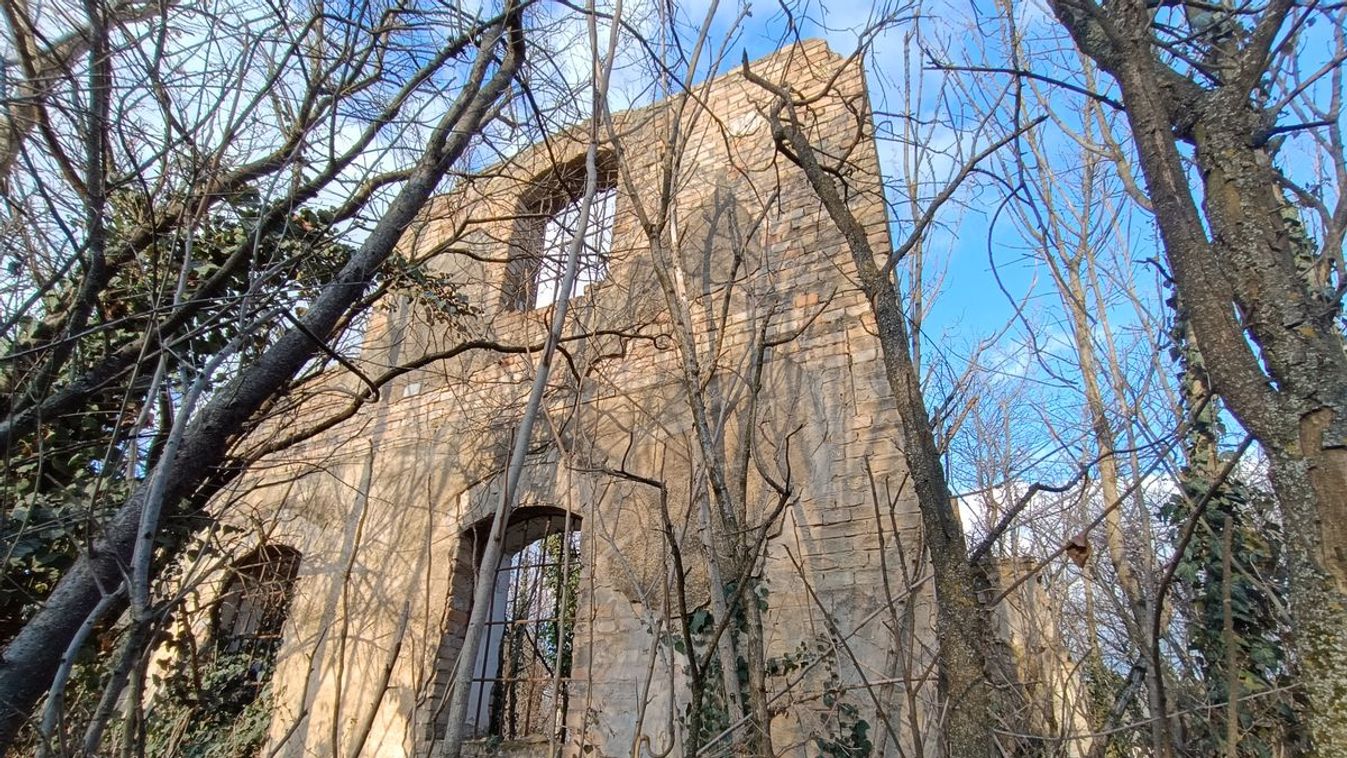 Napi hírösszefoglaló: leégett malom, múzeumi rekord és filléres medvehagyma