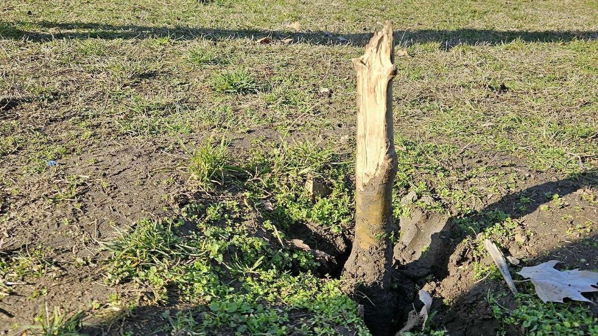 Nem kímélték a vandálok Kiszombor kedvenc játszóterét, a pusztítás komoly károkat okozott