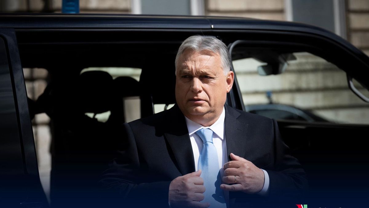 Orbán Viktor: nein, danke! (videó)