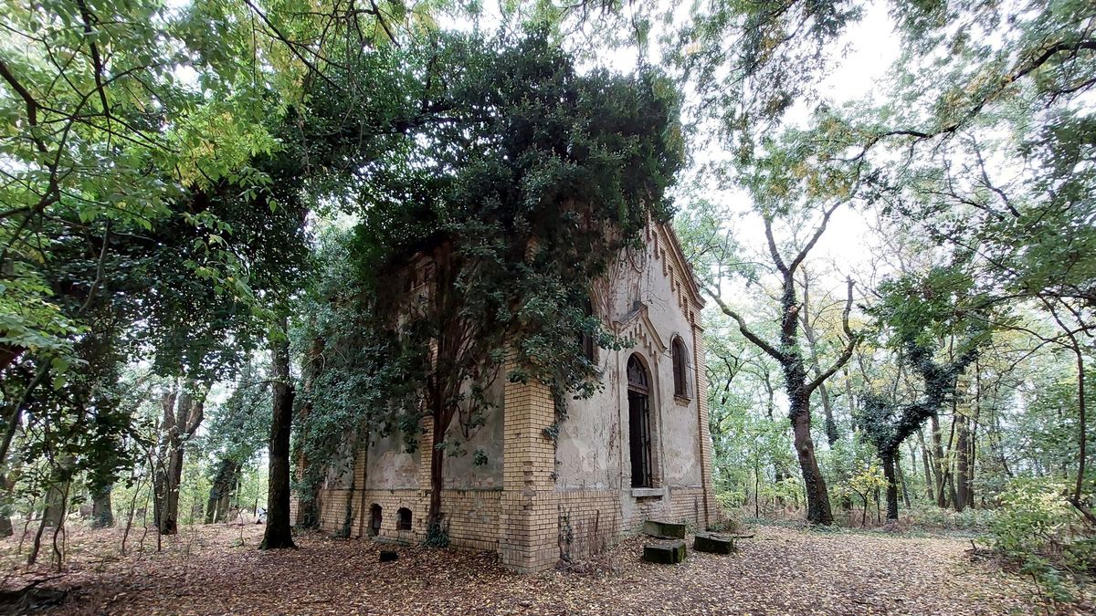 Szétvert sírok, omladozó falak: megdöbbentő képeken az elfeledett vármegyei kúria