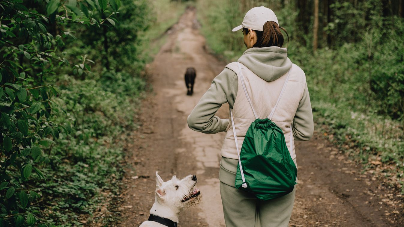 Kimozdulnál? Ezek a programok garantáltan lekötnek