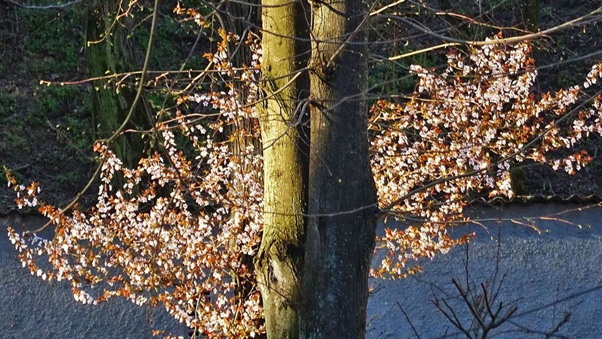 Mutatjuk, milyen időjárás vár ma a Csongrád-Csanádban élőkre