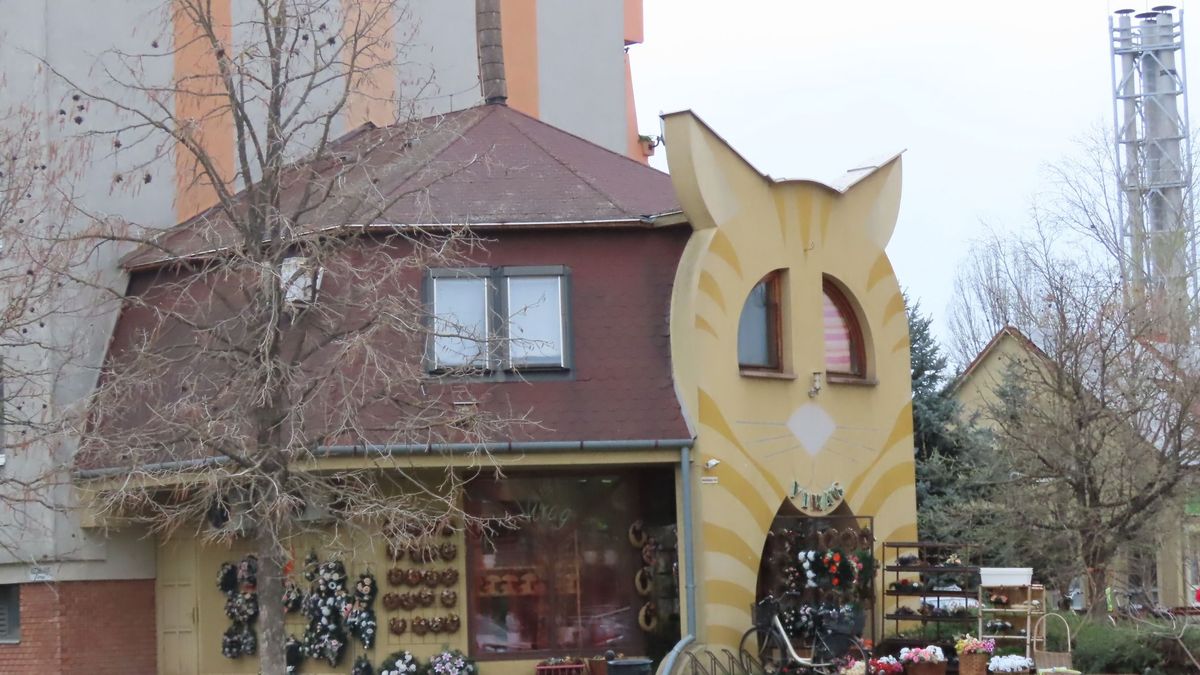 Szentesi mimikri: cicaház töri meg a lakótelepi épületek egyhangúságát