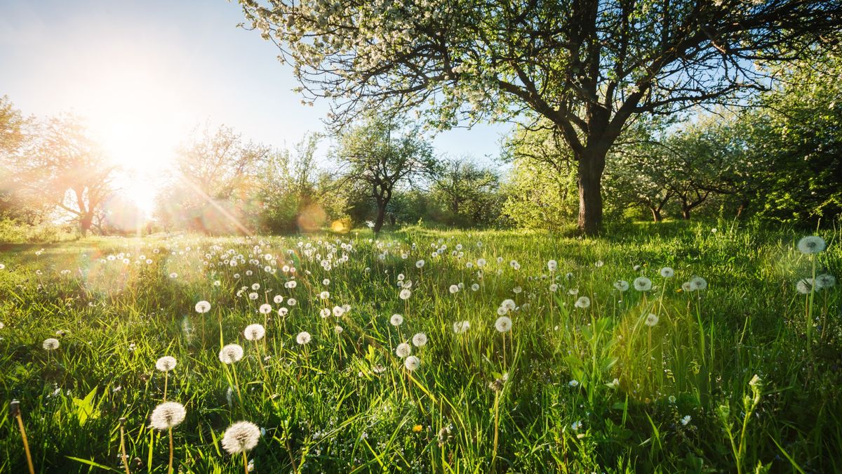 Ez gyors lesz: egyik óráról a másikra romlik az időjárás