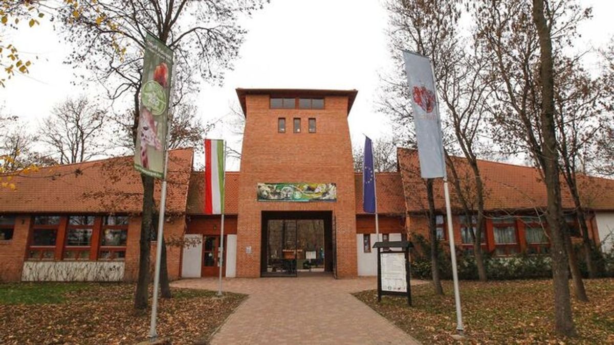 Nem csak tojásokat rejtenek el: páncélos unikornisok is várják a látogatókat a vadasparkban