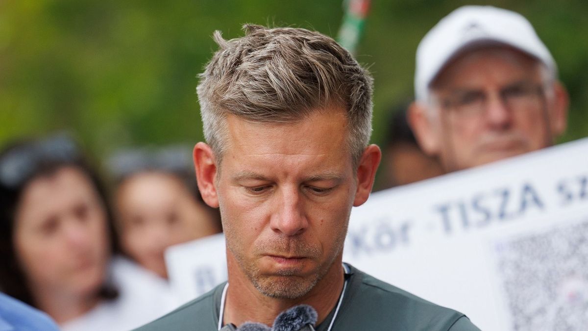 Kitálalt a kiugrott tiszás: Magyar Péterék újabb energiatervet titkolnak el