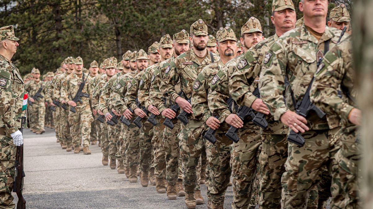 Megmutatták, mire képesek a katonák az ellenőrzésen
