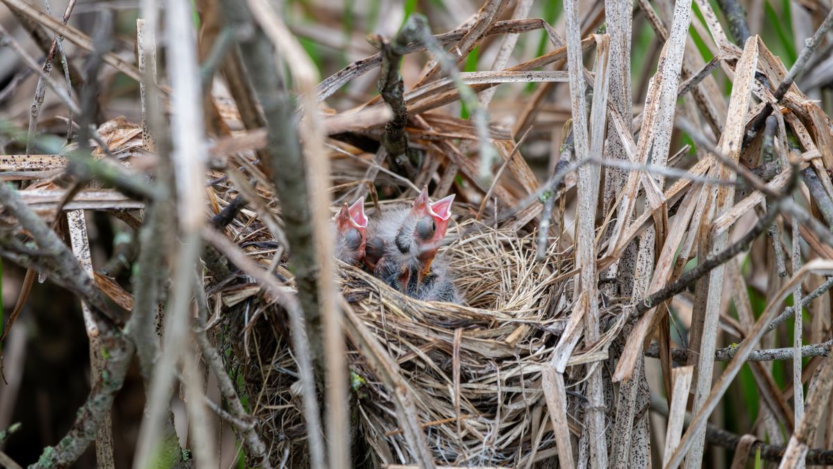 Nem minden esetben indokolt a fiókamentés: erre figyelmeztet a szakértő