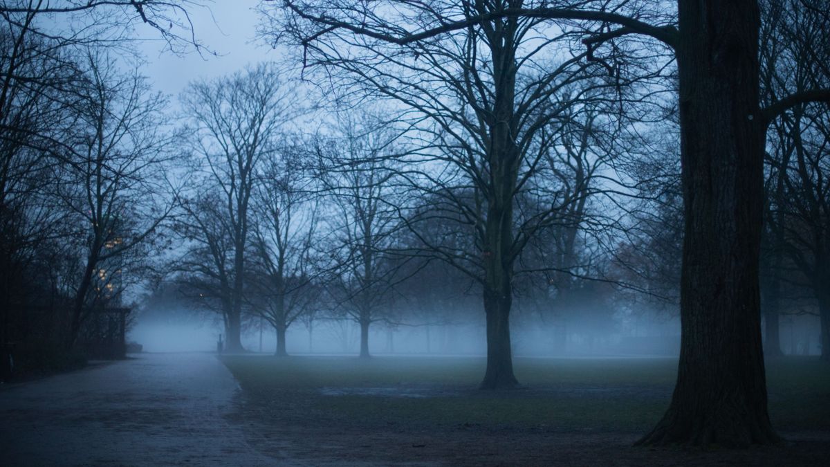 Tragédia Szatymazon, közmunkást ért szörnyű baleset