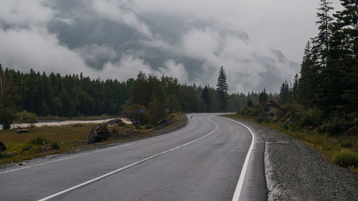 Segítenél? Sérült vadnál ezt az egy szabályt nem szabad megszegni