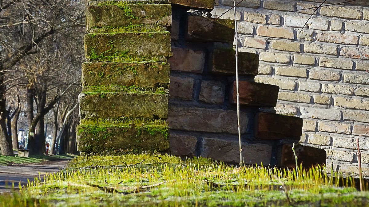 Kiderült, mit tartogat a mai nap Csongrád-Csanádban