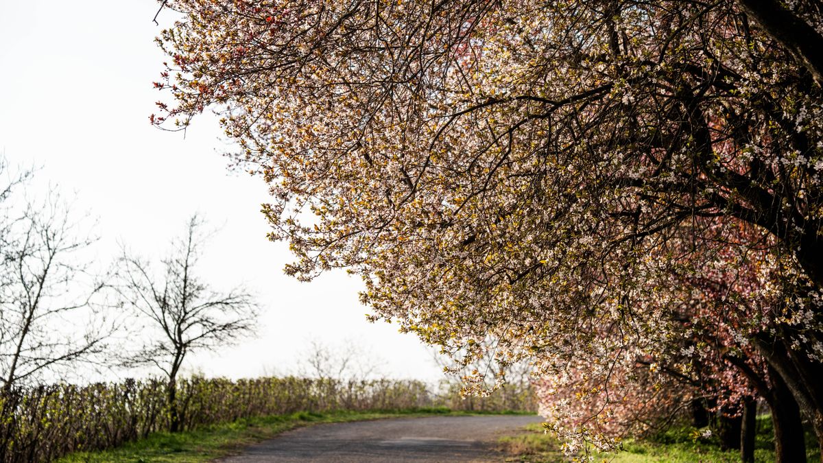 Minden, amit a húsvéti hosszú hétvége időjárásáról tudni érdemes, vajon megússzuk-e szárazon?