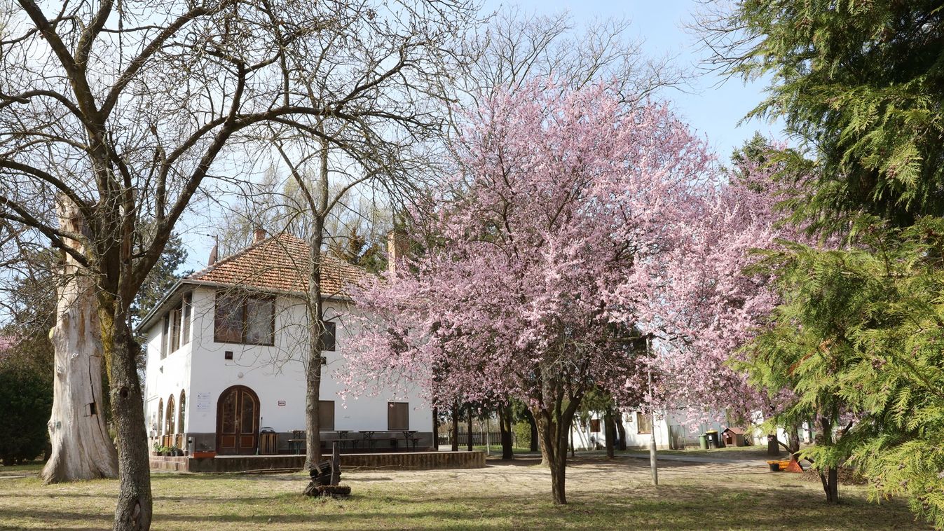 Megújul a Csongrádi Művésztelep – fejlődik a város büszkesége