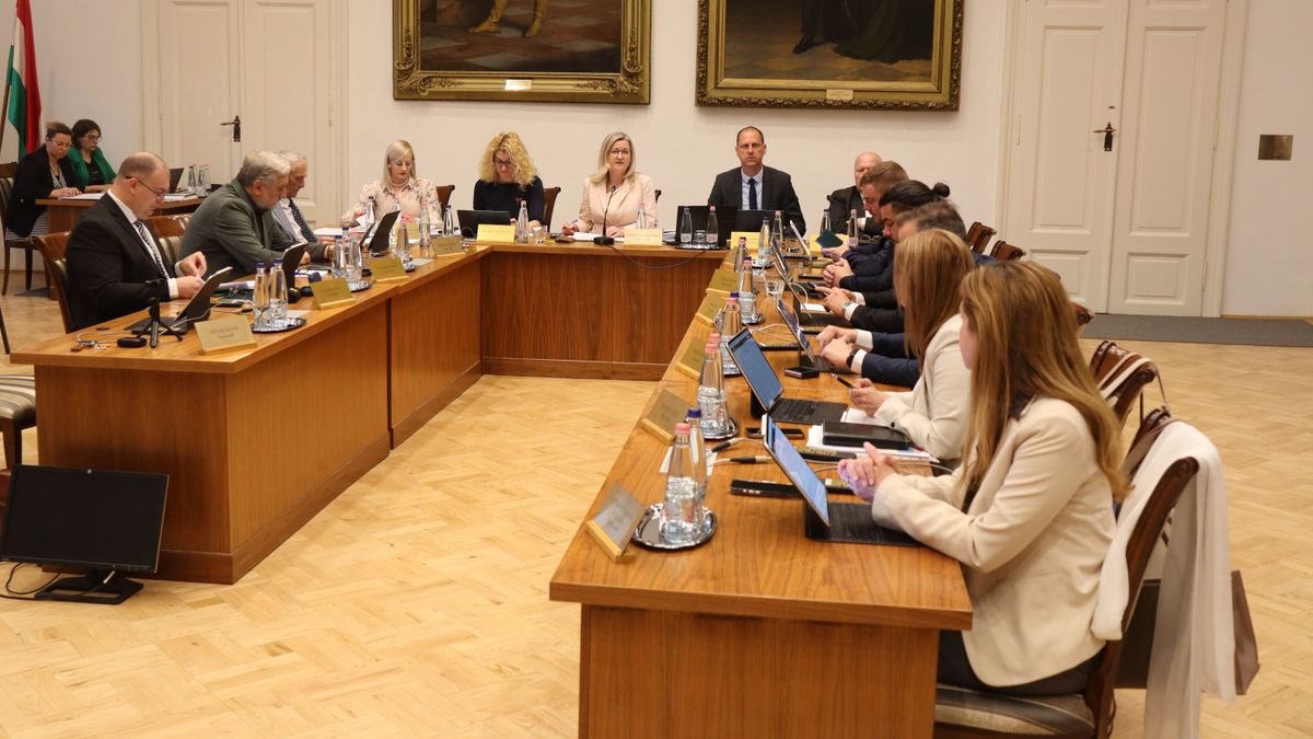 Mi lesz a kínai üzem sorsa? A polgármesternek megírta az új tulajdonos!