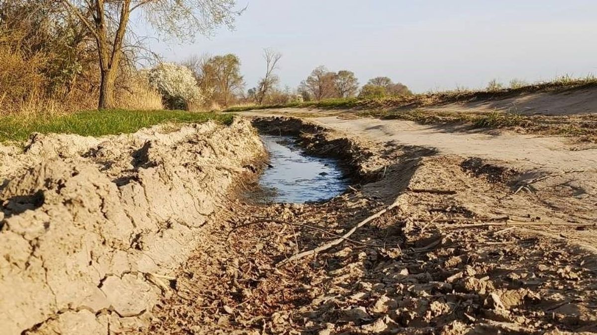Könnyebb kijutni a partra: megújultak a horgászvizek útjai