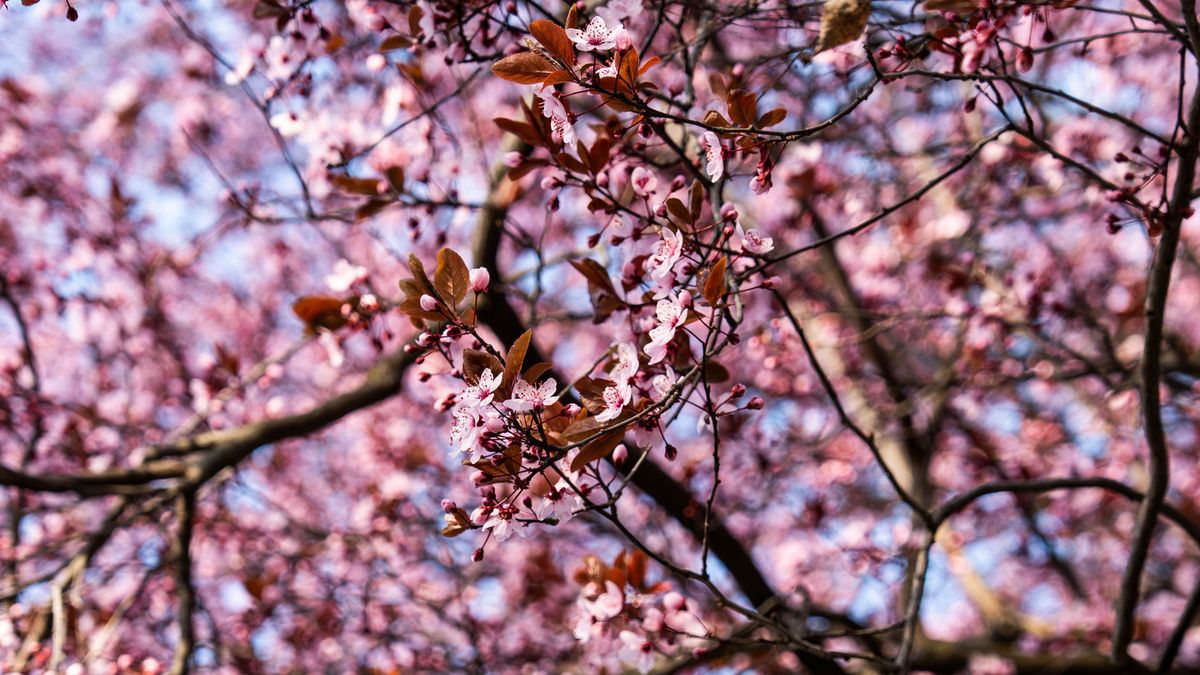 Borús reggel, napos délután – így alakul a Nagypéntek