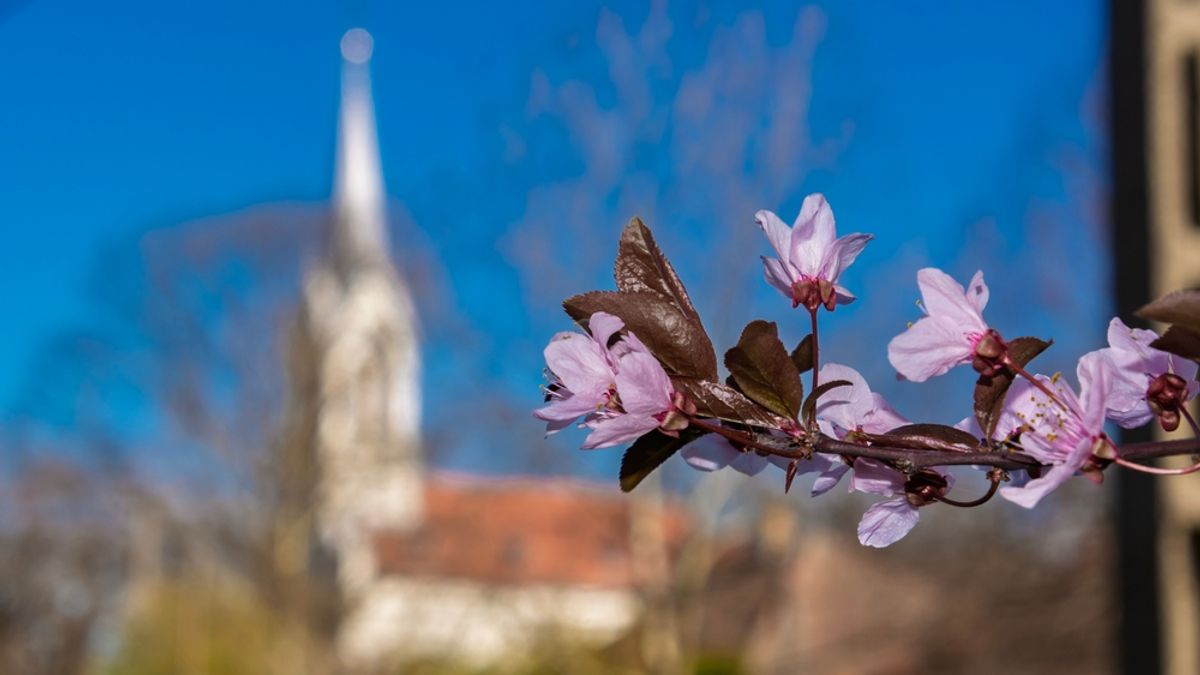 Így alakul a holnapi időjárás Szegeden és környékén