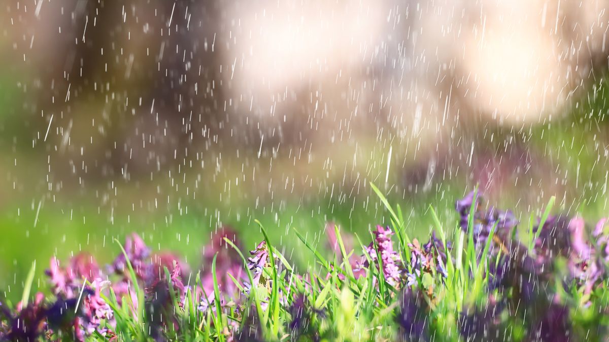 Milyen idő lesz holnap Szegeden? Változékony, záporos és szeles nap vár ránk