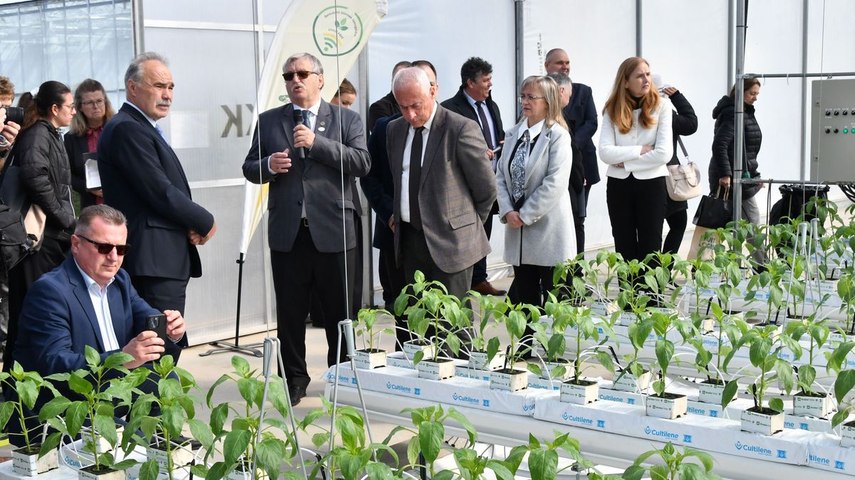 Öregszik a kertészszakma, a DélKerTÉSZ új programot indulít a fiatalok oktatására