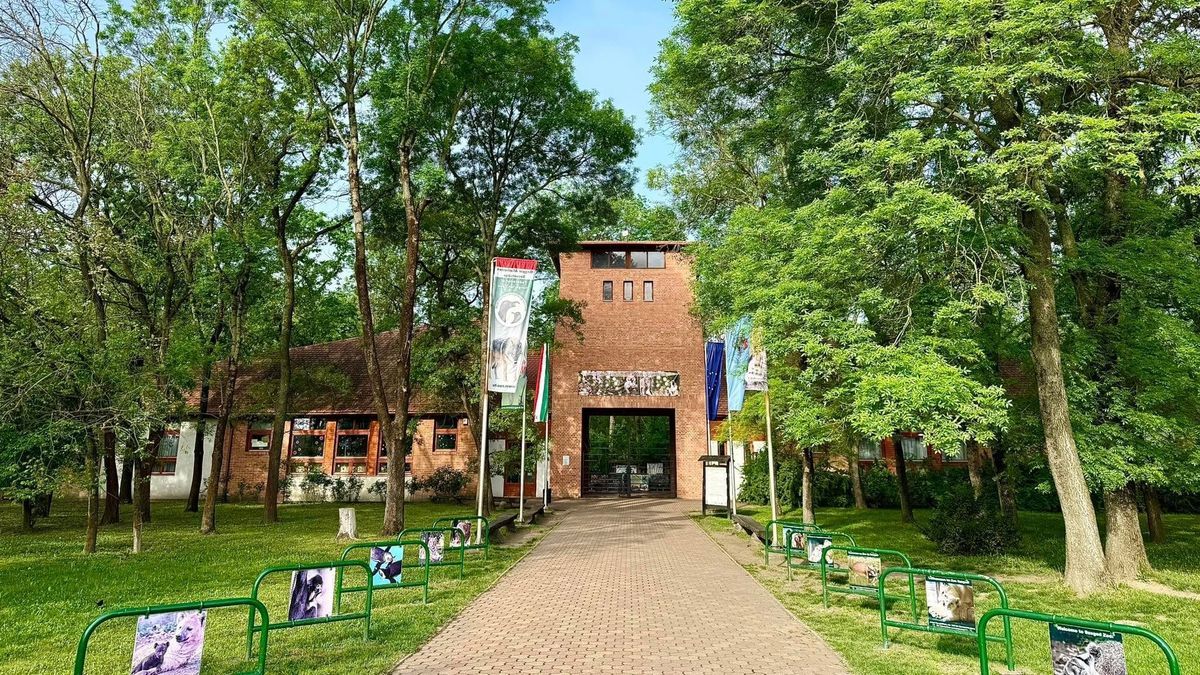 Ócsai betolakodók a Szegedi Vadaspark új társbérlői