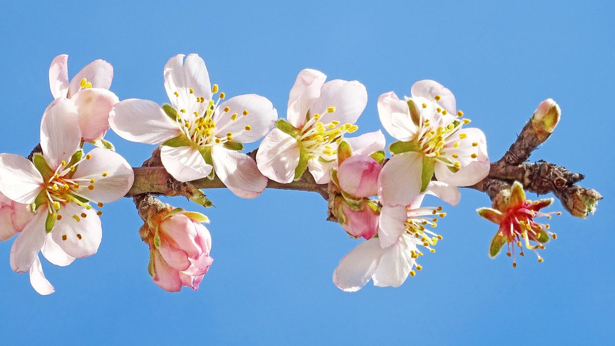 Így alakul a mai időjárás, lesz benne egy kis csavar