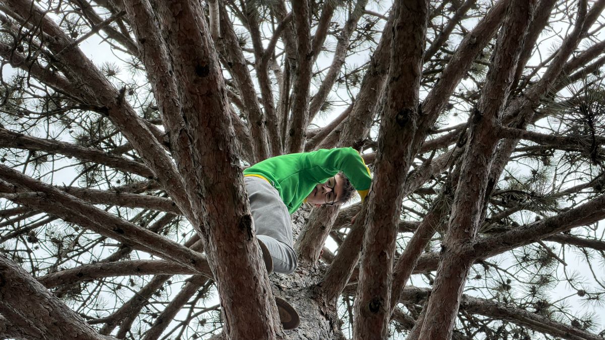 Sokan nekivágnak, de nem mindenki jut fel a Bátorság-fán: most kiderült, mire képesek az diákok