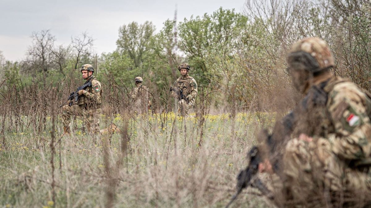Gránátosok a terepen: intenzív szakaszához ért a hódmezővásárhelyi honvédek felkészítése