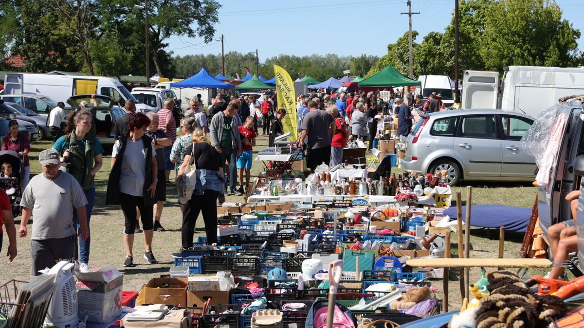 Vásárdömping a hétvégén: Mórahalmon állatok, Szegeden kacatok, országosan pedig igazi kincsvadászat vár