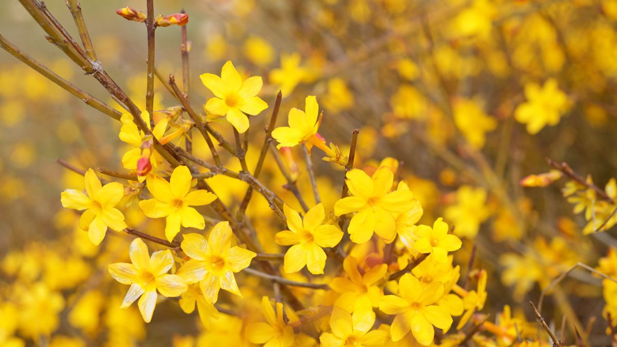 Mutatjuk, mikor süthet ki a nap és mikor jöhet eső