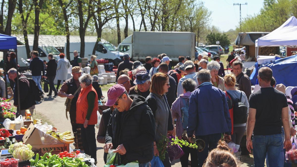 A ruzsai vásárban emucsibéktől a Kámaszútráig minden akadt, ami meglepheti a látogatókat