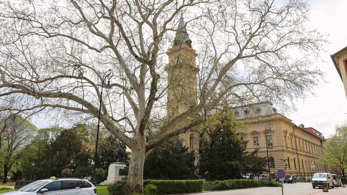 Felforgatják Vásárhely belvárosát: így változik meg a forgalom a városháza mellett