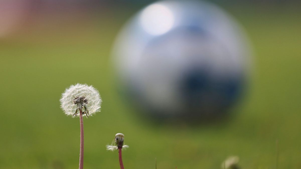 Helycsere a megyekettő élén