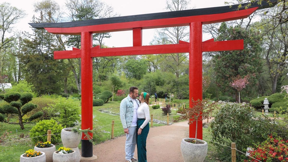 Zöld programok: különleges családi nappal készül a szegedi Füvészkert