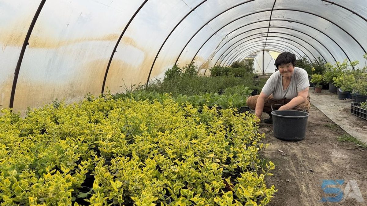 Fillérekből virágba borul a város – Kisteleken tudnak valamit, amiből mindenki tanulhatna