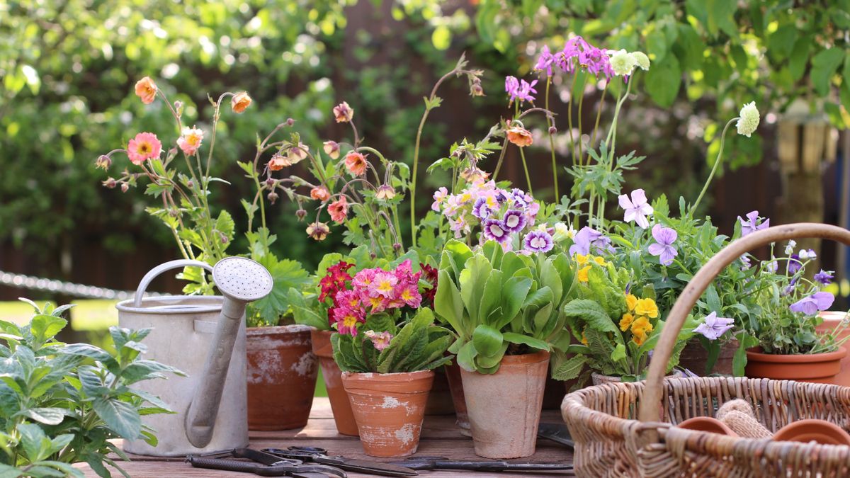 Ma Szegeden süt majd a nap, vagy maradnak a felhők?