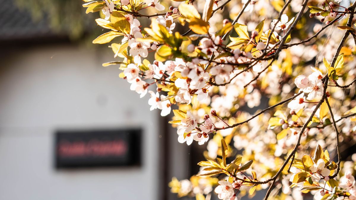 Kellemes indulás, de nem marad nyugodt az időjárás