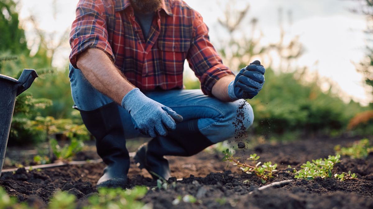 Filléres megoldások a kertben: ezek a házi praktikák látványos eredményt hoznak