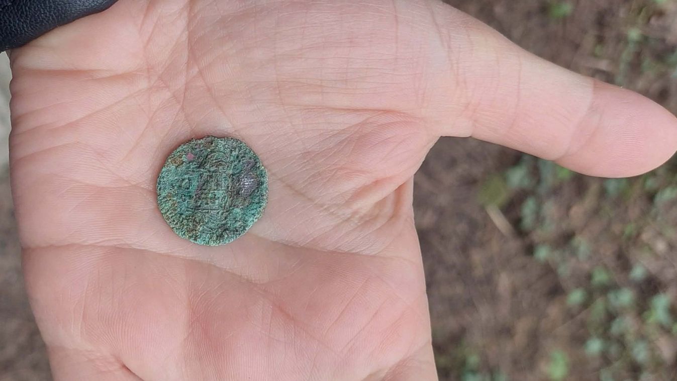 Megdöbbentő lelet egy makói telken: még a múzeumban is elhűltek, mi került elő...