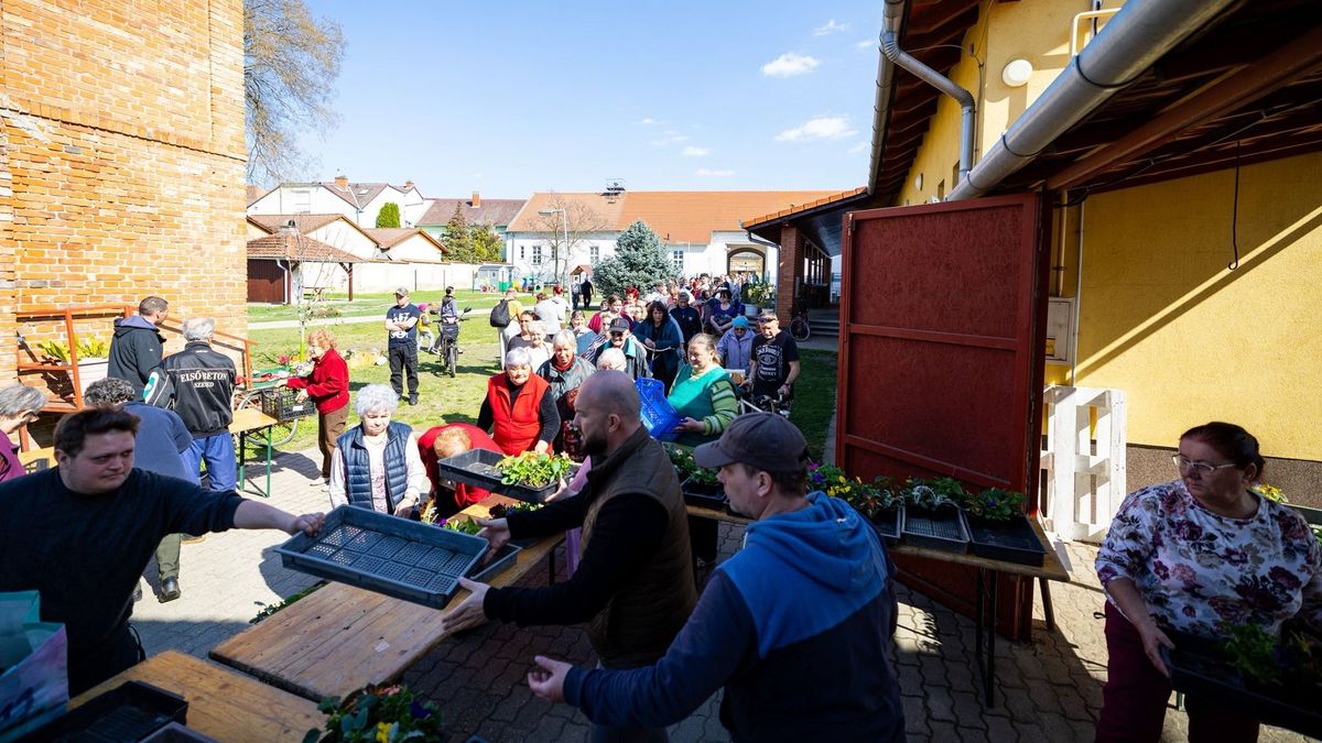 Húsvéti hangulat és virágeső: több ezer növény talált gazdára Kiskundorozsmán
