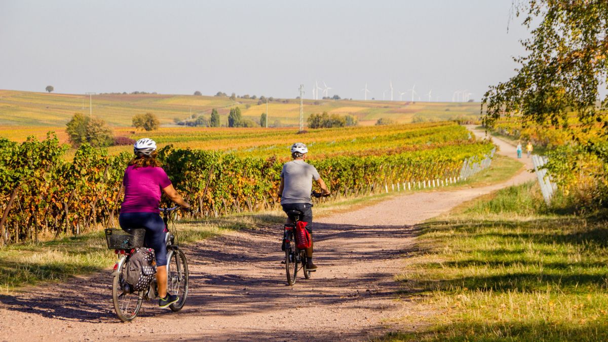 Eljött a biciklitúrák szezonja – ezekre figyelj, mielőtt hosszú útra indulsz