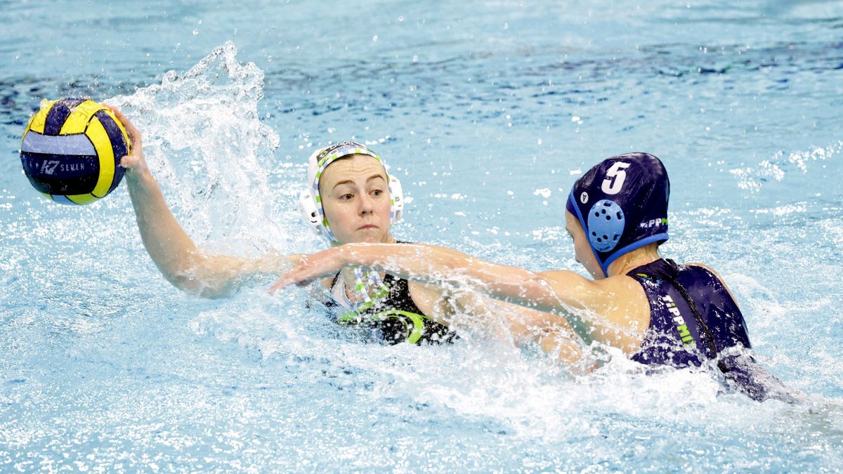 Értékes szegedi és szentesi pontok az alsóházból