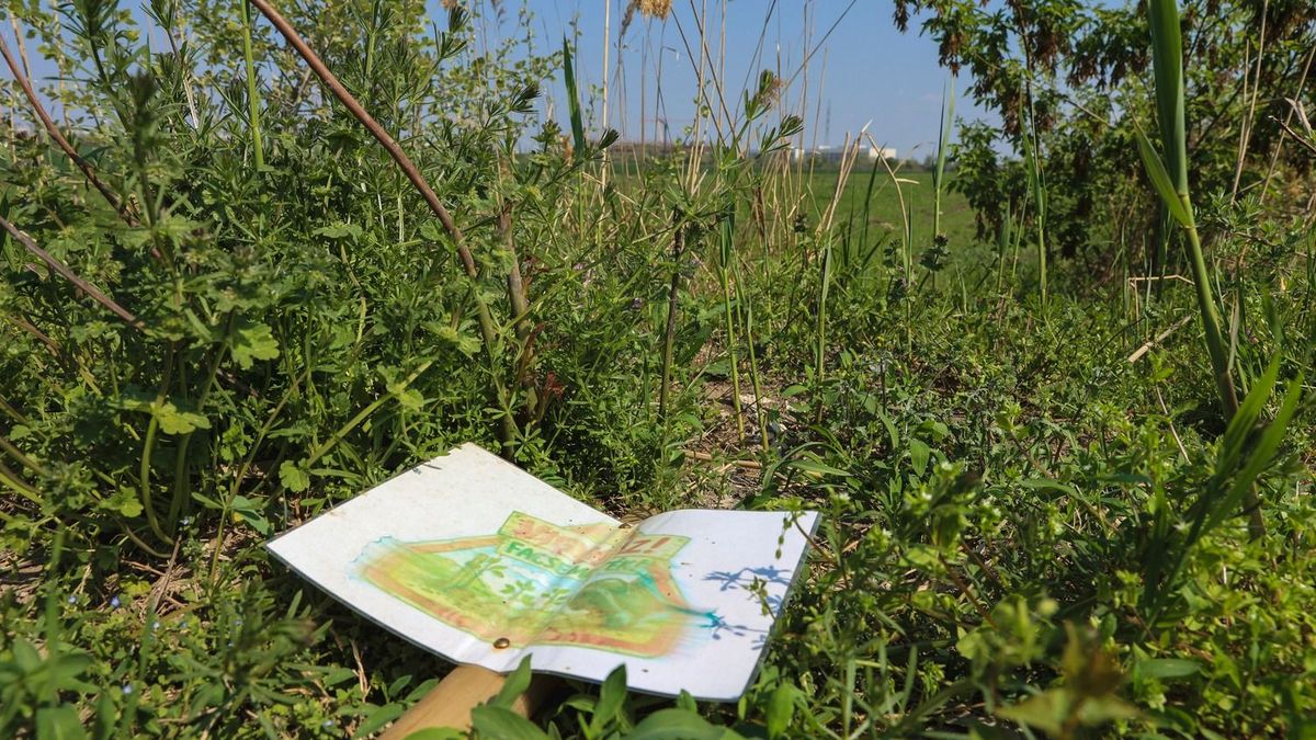 Eltűnt a véderdő a BYD-gyár mellett, de vajon mi lehet az oka?