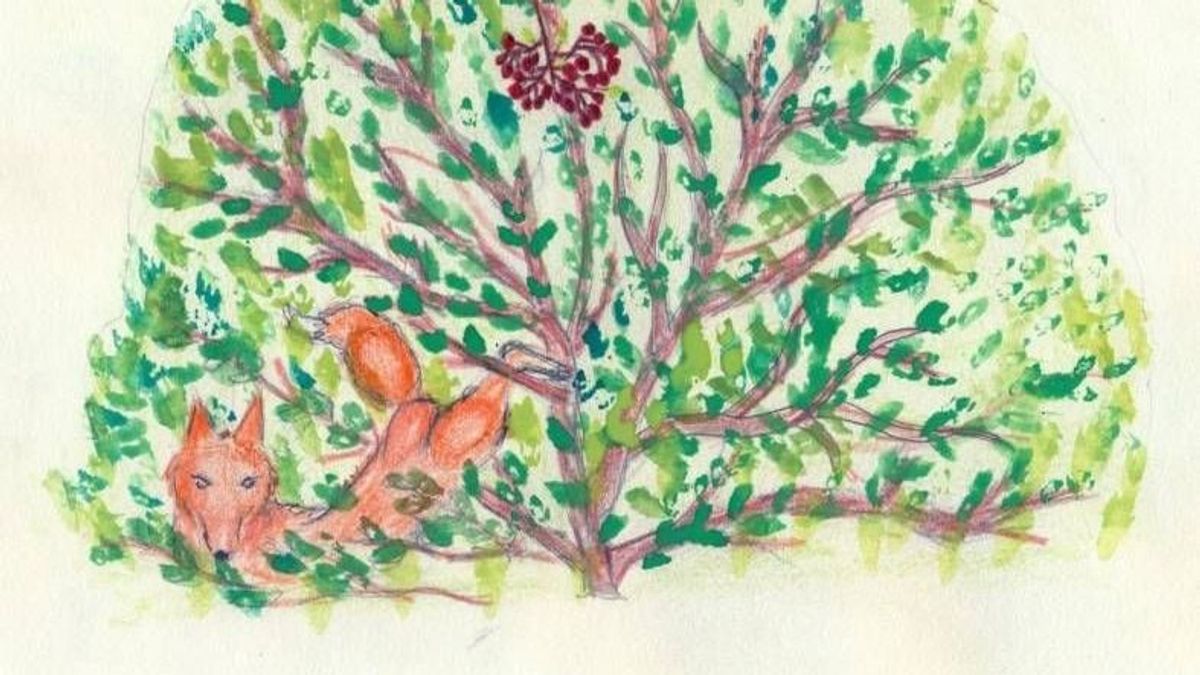 Több mint 1300 szavazatot kapott a balástyai mese