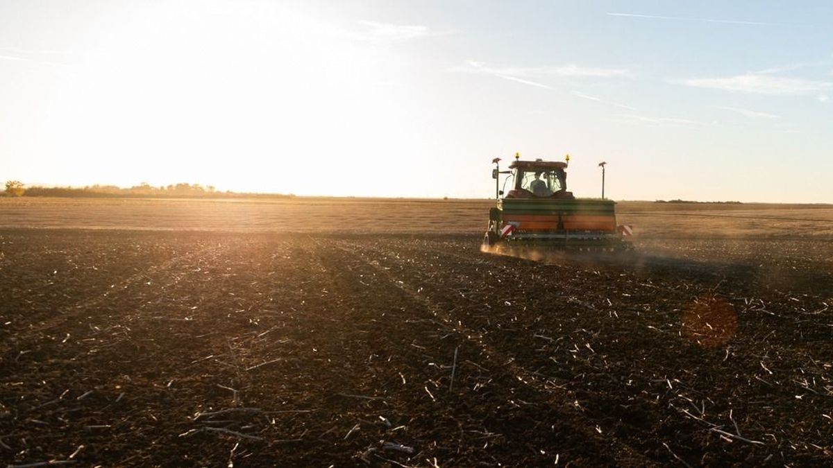 Sokan rosszul tudják: így dől el, ki jogosult a földalapú támogatásra