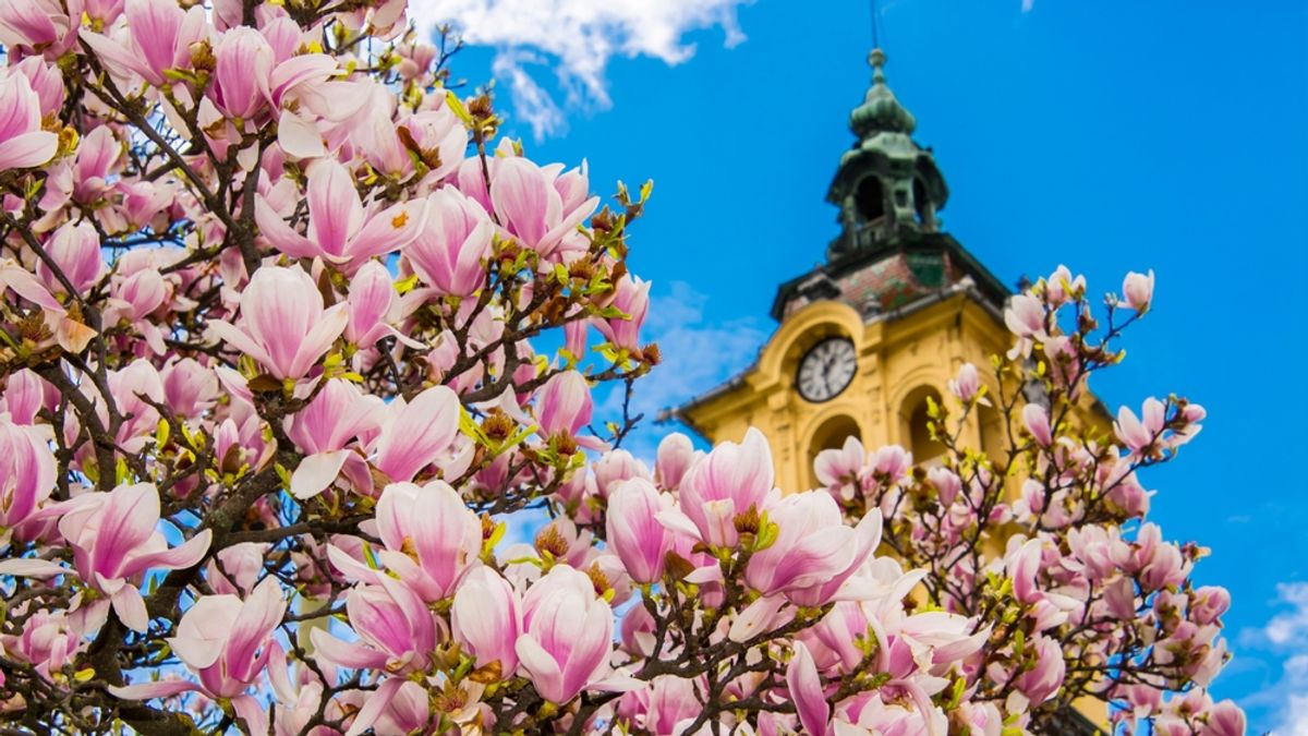 Szinte tökéletes idővel indul a hét Csongrád-Csanádban