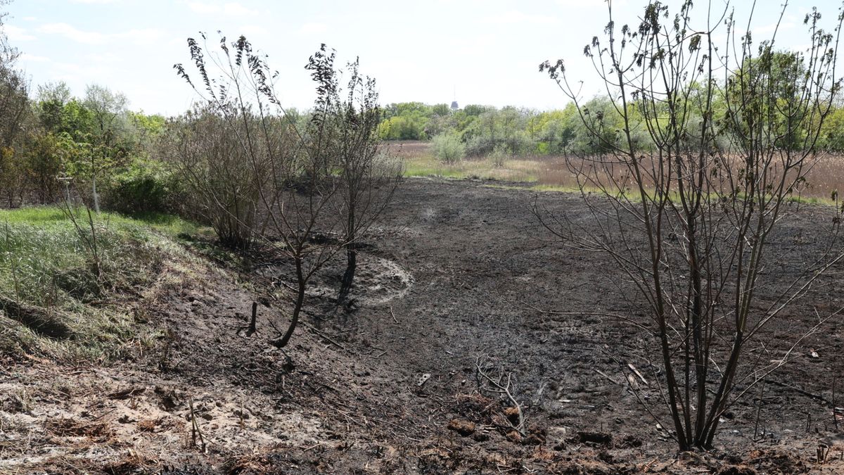 Képeken mutatjuk, hogy mekkora pusztítást hagyott maga után a Baktói tűz